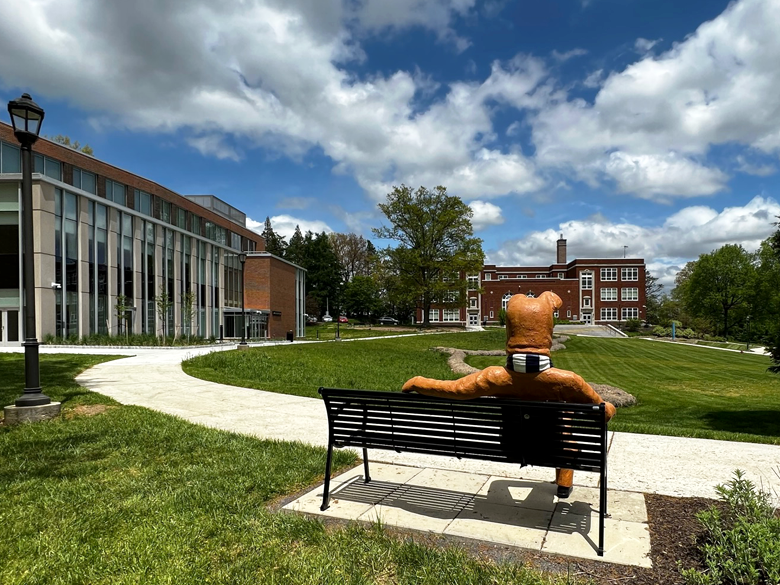 Photo of the Lion Bench from behind with wide shot of campus quad 